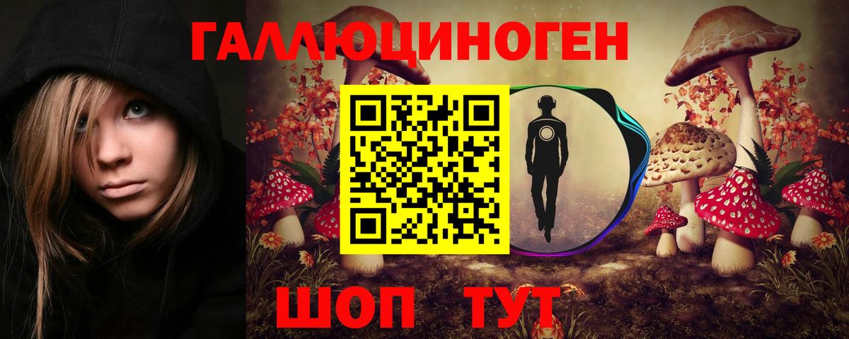 Сызрань  Галлюциногенные грибы прущие грибы  Вход с VPN 